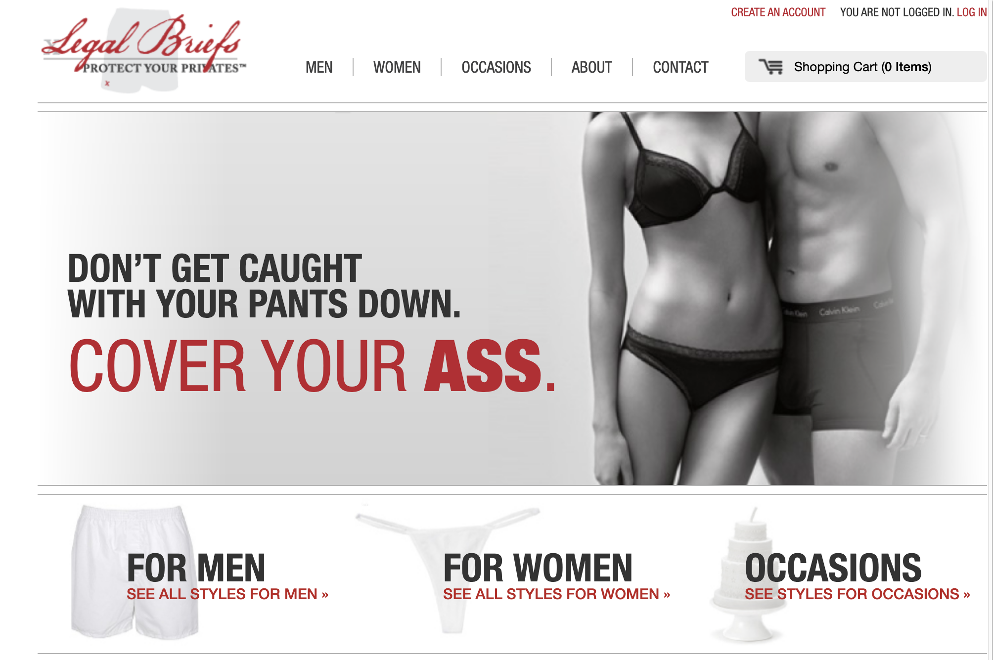 Legal Briefs Website Thumbnail